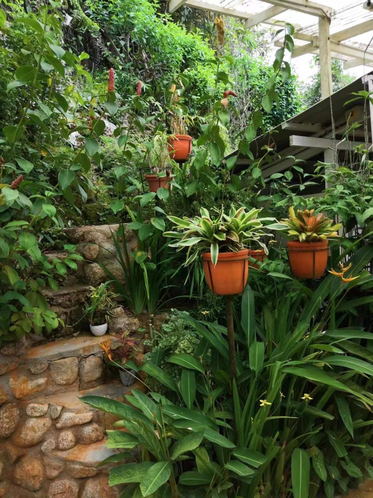 Moonriver Lodge Cameron Highlands Exteriör bild