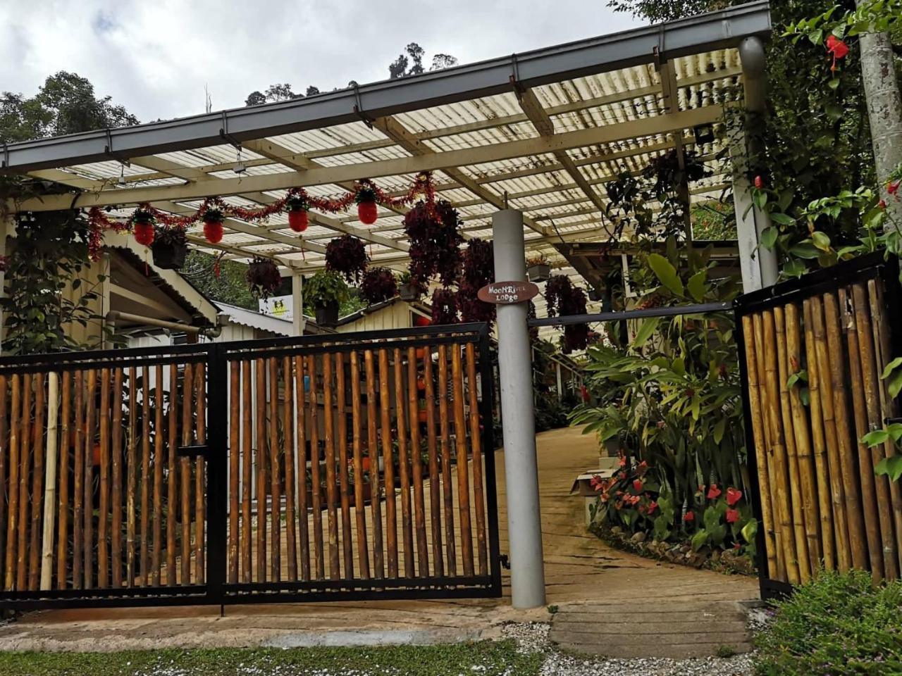 Moonriver Lodge Cameron Highlands Exteriör bild